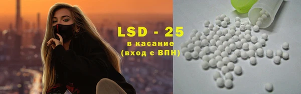 прущие грибы Волоколамск