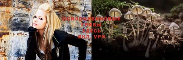 ПСИЛОЦИБИНОВЫЕ ГРИБЫ Верхний Тагил